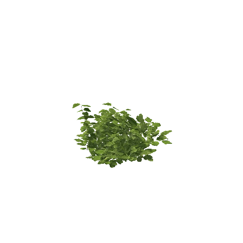 Plant 40_LOD_2